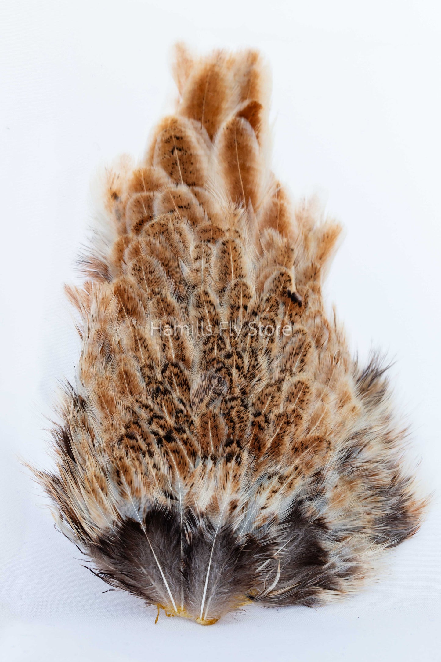 Wapsi Soft Hackle Hen Saddle Patch