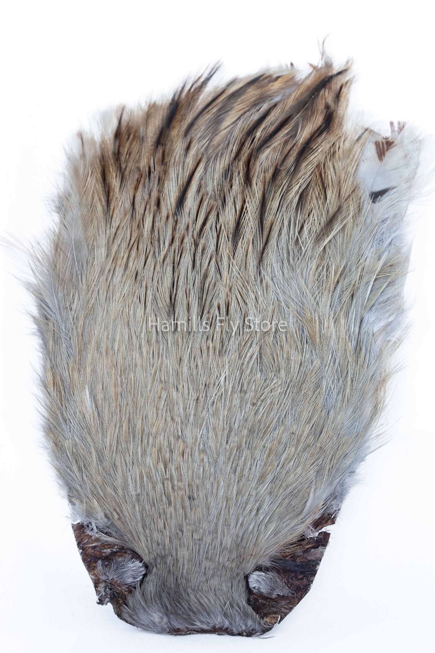 Wapsi Dry Fly Rooster Necks