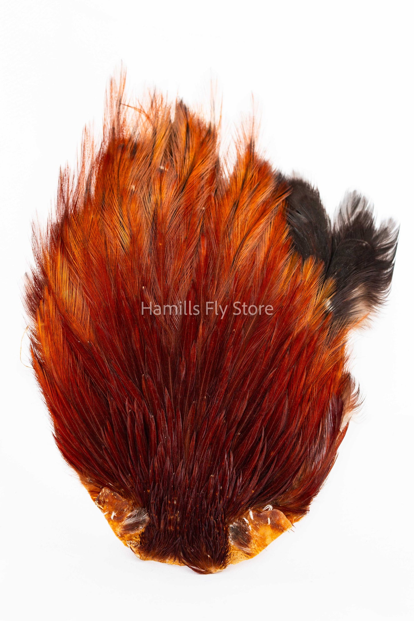 Wapsi Dry Fly Rooster Necks