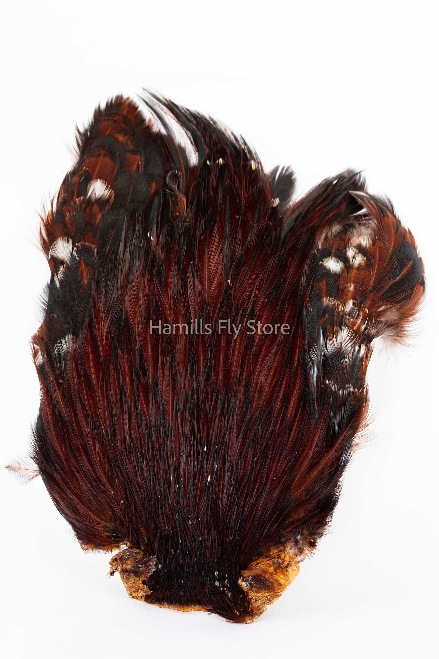 Wapsi Dry Fly Rooster Necks