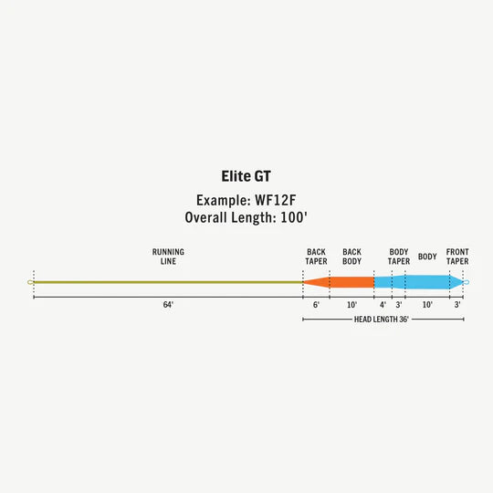 Rio GT Elite WF12F Flyline