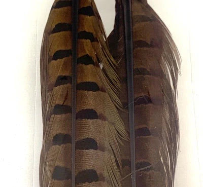 Wapsi Pheasant Tail Feathers (Pair)