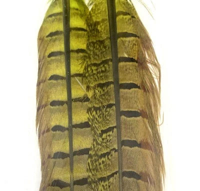 Wapsi Pheasant Tail Feathers (Pair)