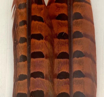 Wapsi Pheasant Tail Feathers (Pair)