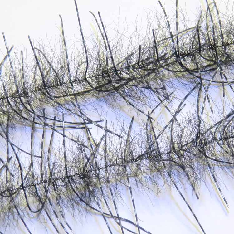 Just Add H2O Lively Leg Crustacean Brush