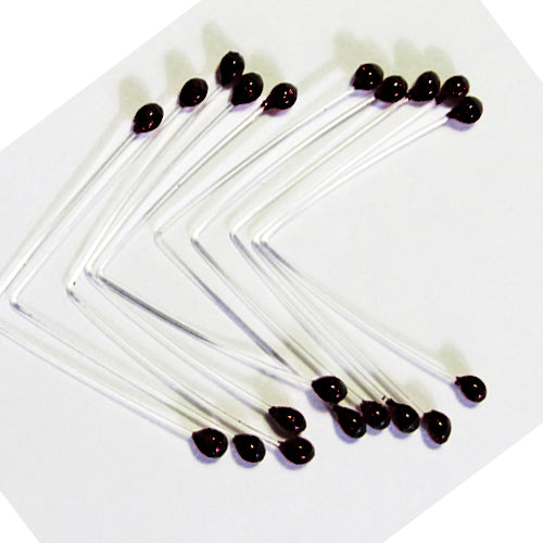 Just Add H2O Shrimp & Crab Eyes