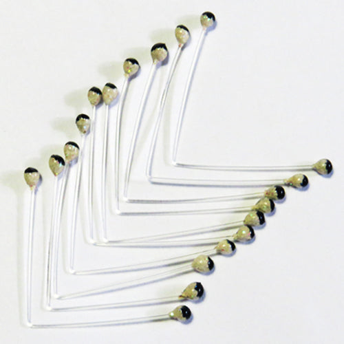 Just Add H2O Shrimp & Crab Eyes