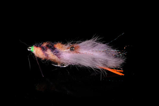 Manic Flies- Mangrove Crab #2