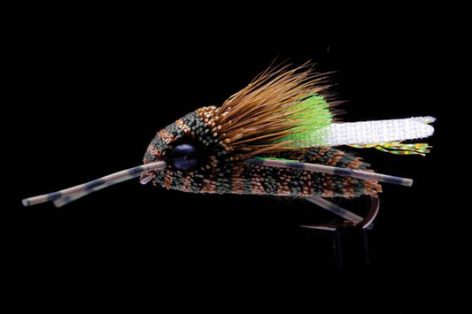 Manic Flies- King Cicada