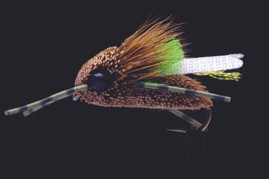 Manic Flies- Kiwi Cicada
