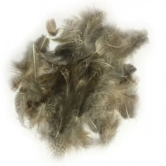 Natures Spirit Premium Partridge Natural