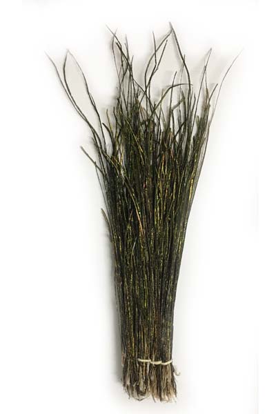 Feather Merchants Peacock Herl