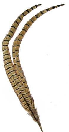 Pheasant Tail Feathers Pkt2