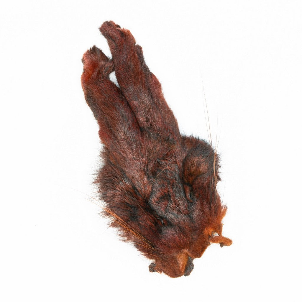 Veniard Hare Mask