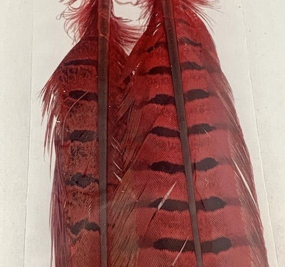 Wapsi Pheasant Tail Feathers (Pair)