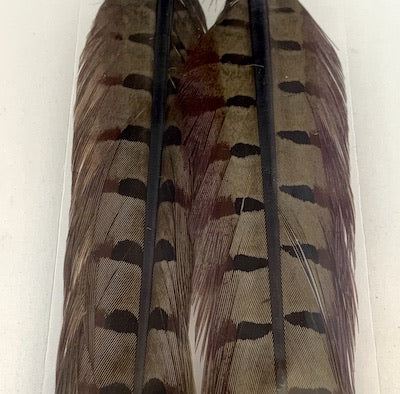 Wapsi Pheasant Tail Feathers (Pair)
