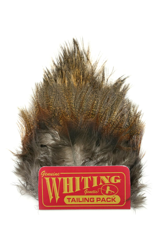 Whiting CDL Tailing Pack